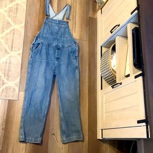 We The Free Denim overalls Bibs Free People
